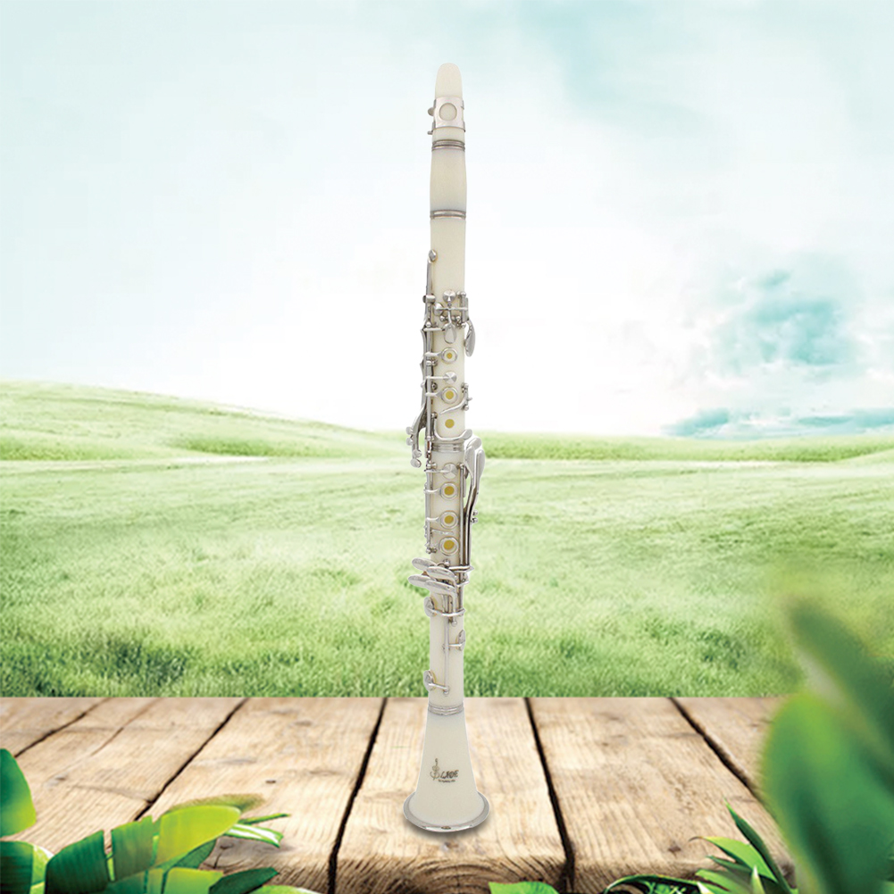 Bb Clarinet 17 Keys with Case  - Musical Instrument Reed のレビューと価格