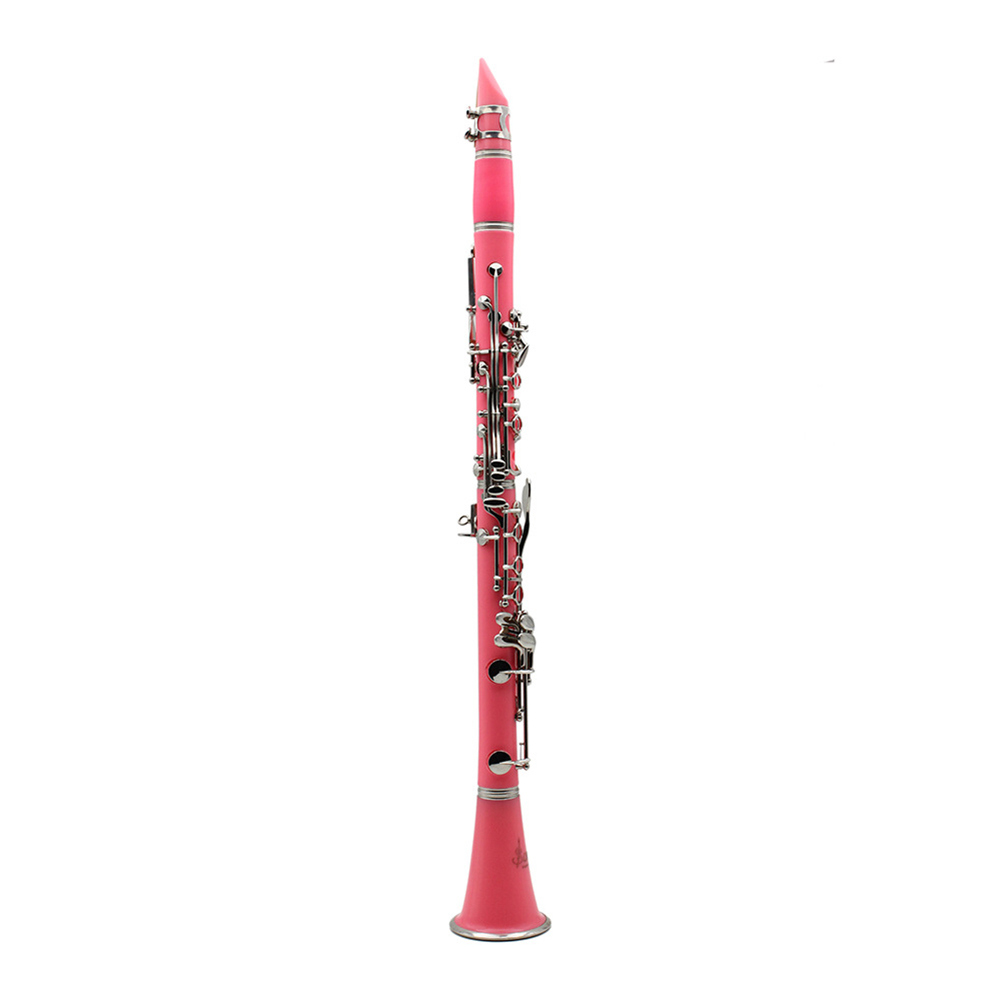Bb Clarinet 17 Keys with Case  - Musical Instrument Reed のレビューと価格