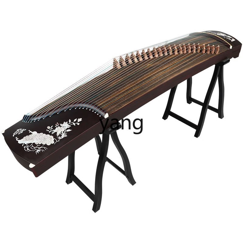 LT beginner test entry level 1 - Musical Instrument Guzheng のレビューと価格