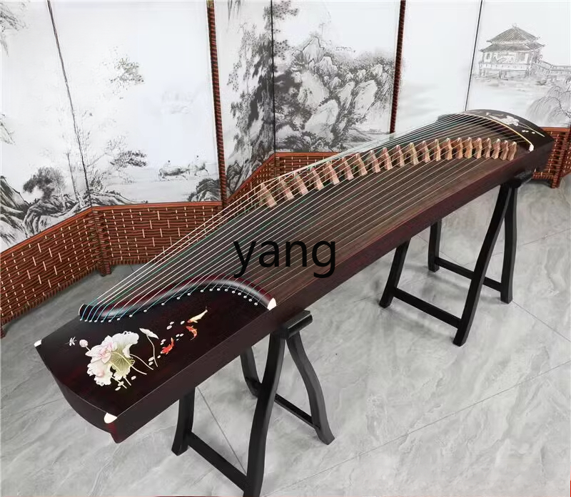 LT beginner test entry level 1 - Musical Instrument Guzheng のレビューと価格