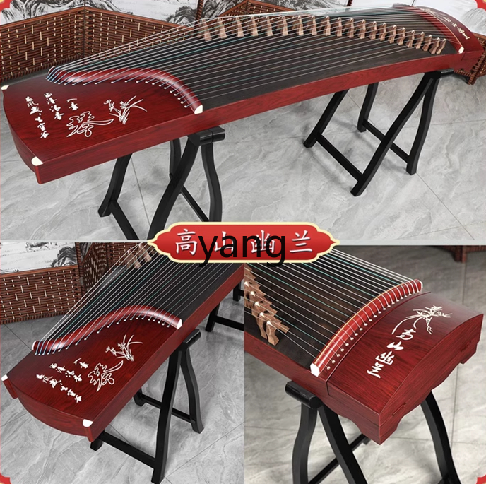 LT beginner test entry level 1 - Musical Instrument Guzheng のレビューと価格