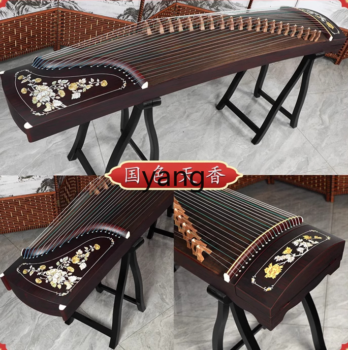 LT beginner test entry level 1 - Musical Instrument Guzheng のレビューと価格