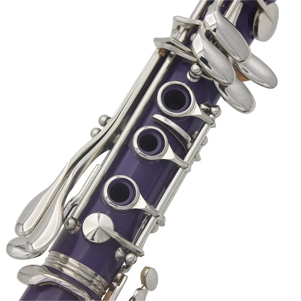 SLADE B-Flat Clarinet 17 Keys  - Musical Instrument Reed のレビューと価格