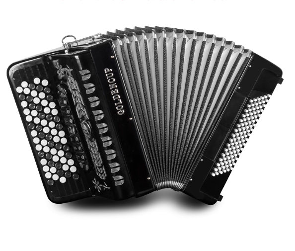 Bayan Accordion 96/120 Bass Tr - Musical Instrument Reed のレビューと価格