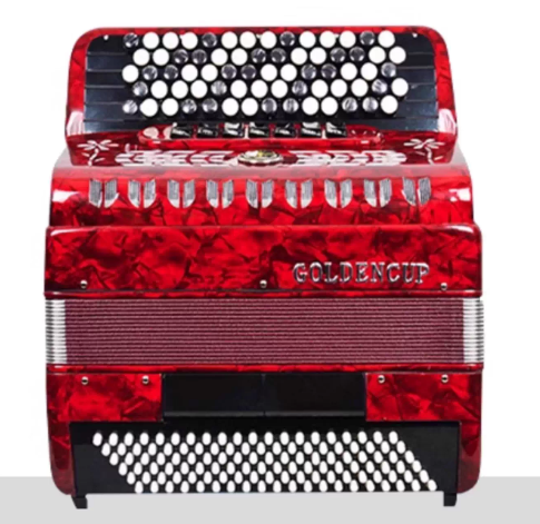 Bayan Accordion 96/120 Bass Tr - Musical Instrument Reed のレビューと価格