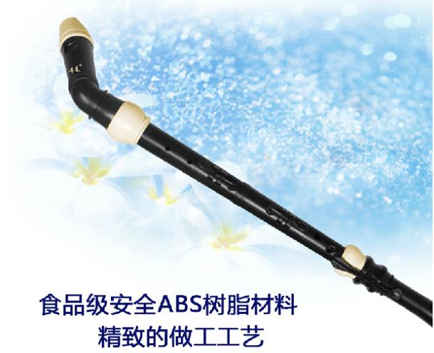 Professional 8 Holes Baroque B - Musical Instrument In Chinese のレビューと価格