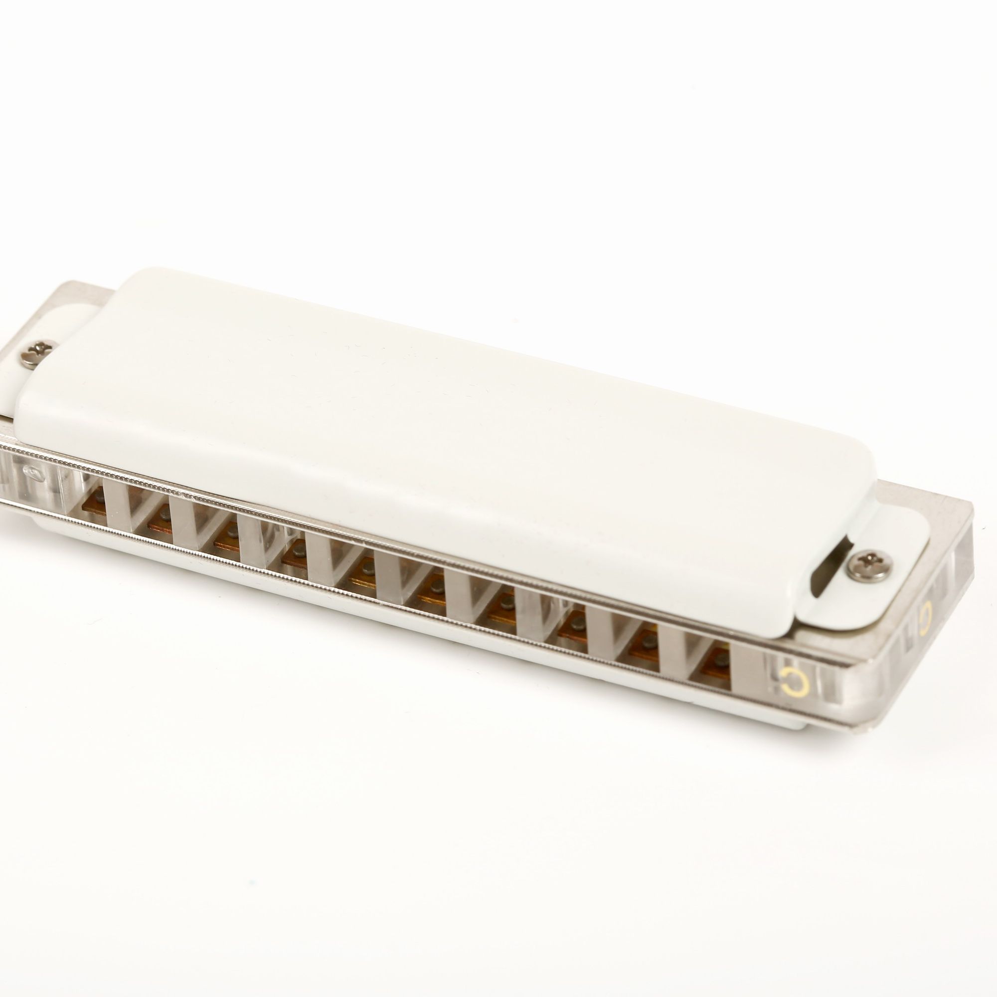 East top 10 hole harmonica pro - Musical Instrument Reed のレビューと価格