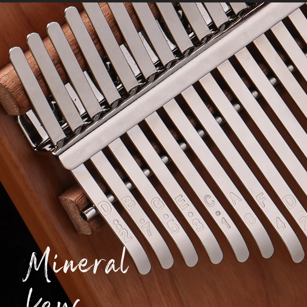 Hluru Professional 21 Key Waln - Musical Instrument Kit のレビューと価格